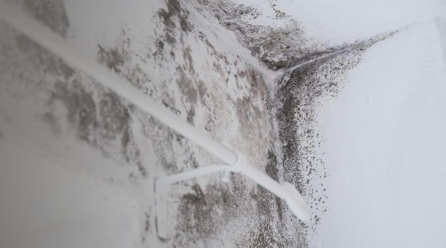 Why choose HomeLift Response for water damage restoration in Concord